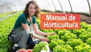 Manual De Horticultura ¡PDF Gratis! - Infoagronomia